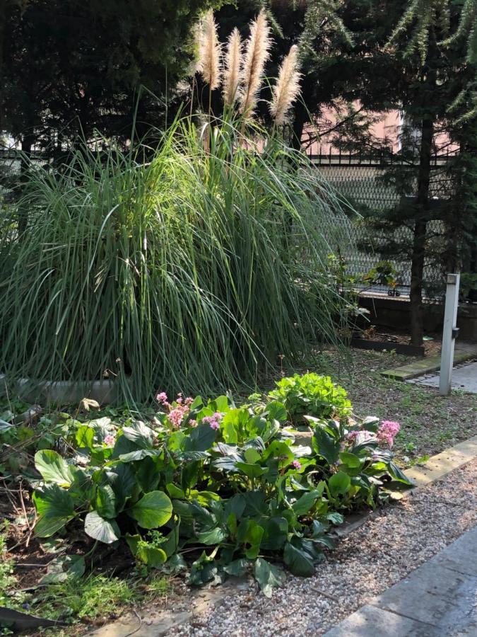 Bed and Breakfast Il Villino Della Duchessa Parma Exterior foto